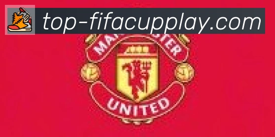FIFA世界杯买球入口合作伙伴
